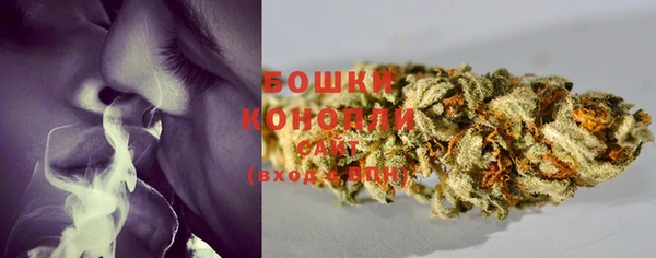 амф Магас