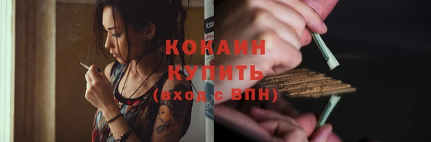 амф Магас
