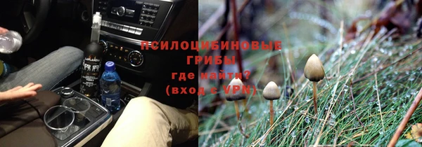 амф Магас